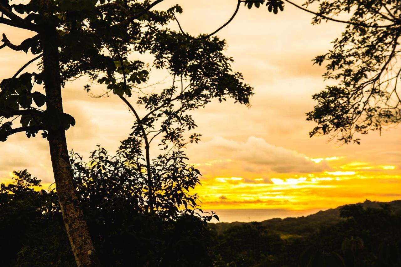 Oasis Bed & Breakfast Uvita