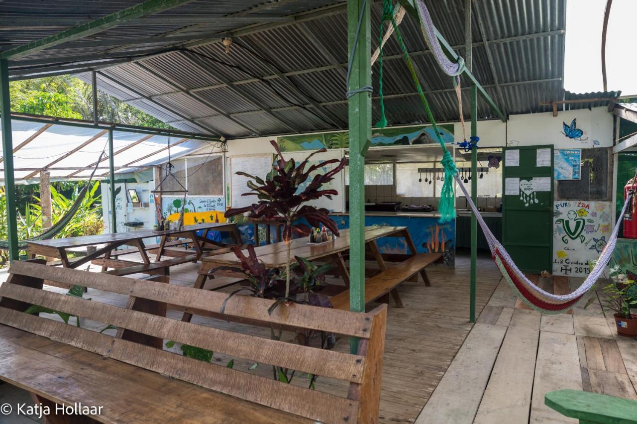 Hostel Life For Life Hostel: Sea Turtle Conservation At