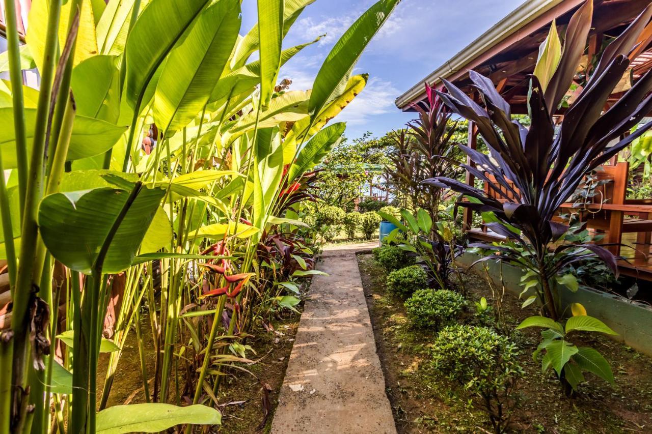 Cotingas Ocean View *