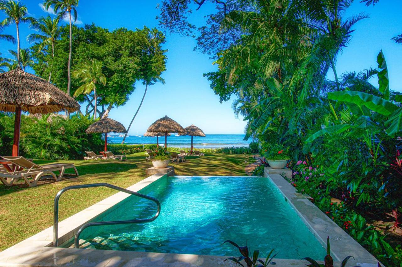 Jardin Del Eden Boutique (adults Only)