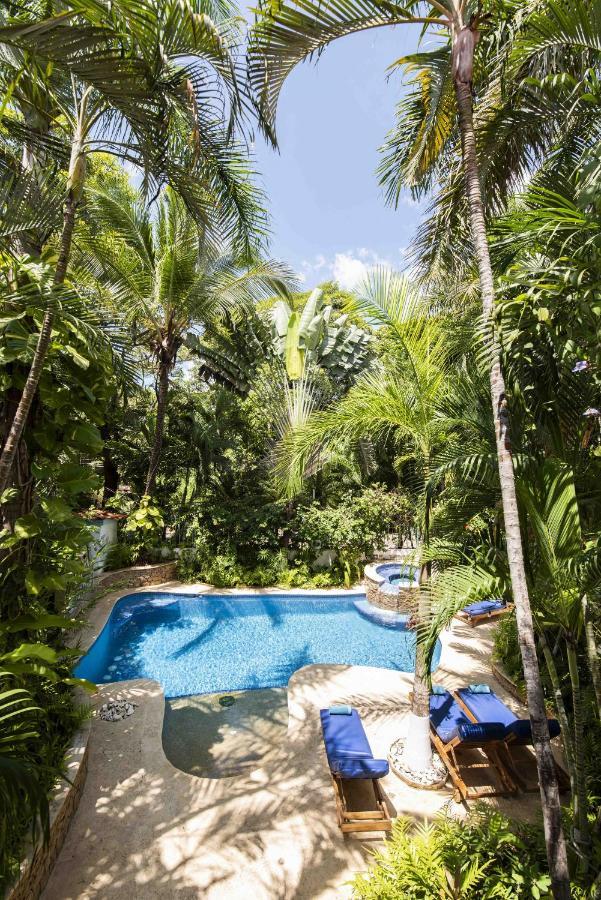 Casa Sueca - At The 3* Tamarindo