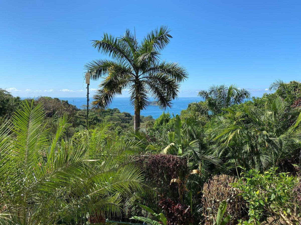 Roca Boutique & - Adult Only Hotel Manuel Antonio