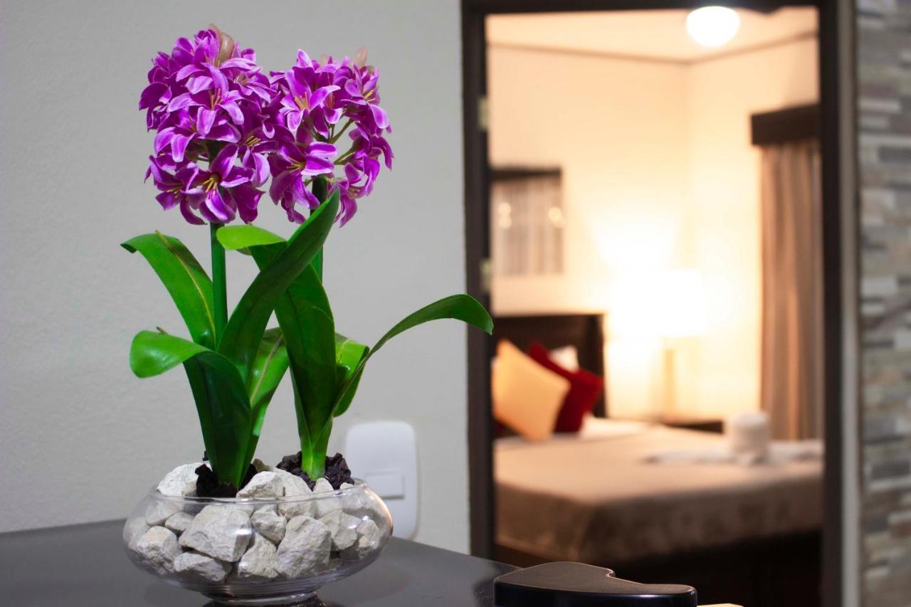 Bed & Breakfast Calathea Monteverde
