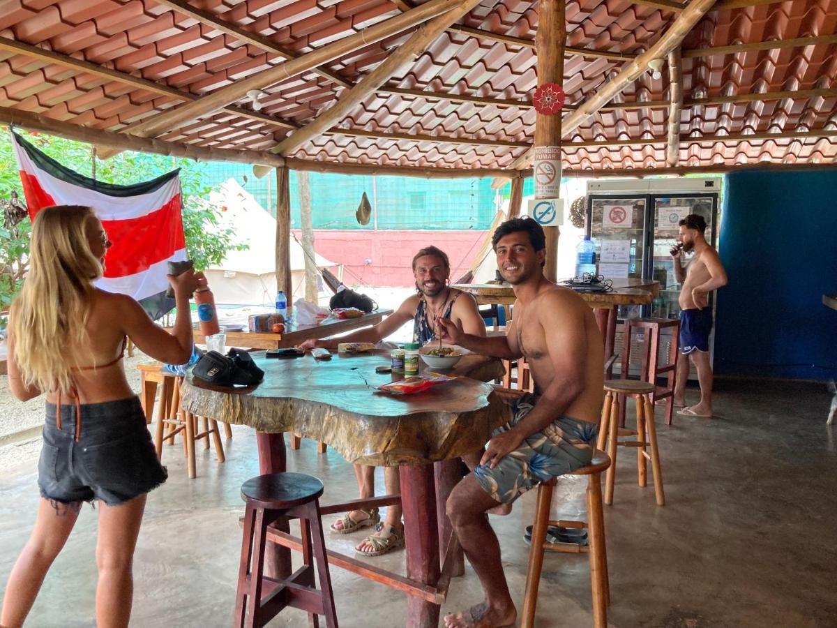 Hostel Tamahostel & Glamping