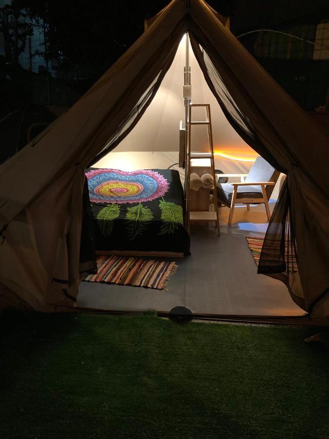 Hostel Tamahostel & Glamping *