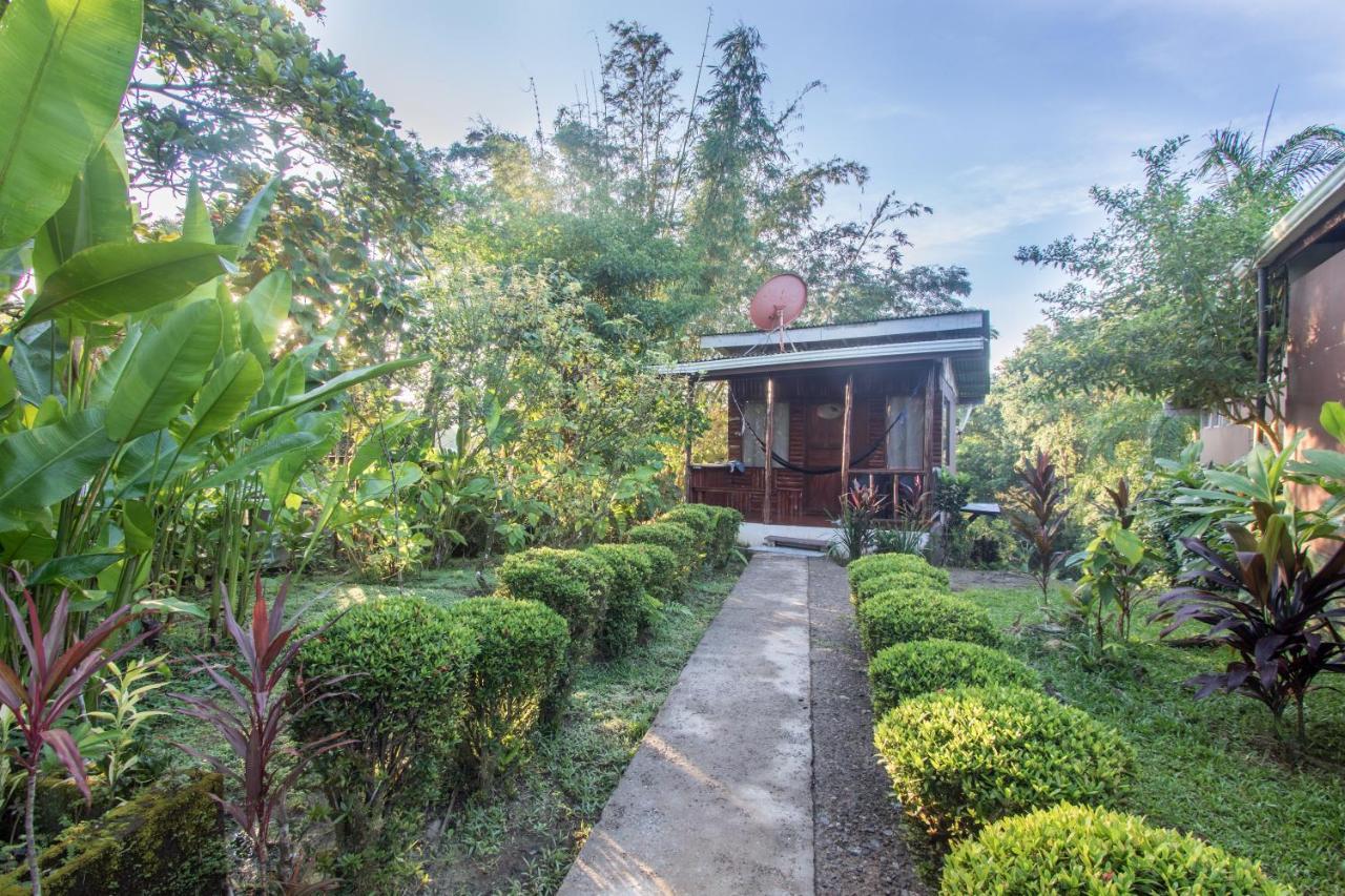 Lodge Cotingas Ocean View *