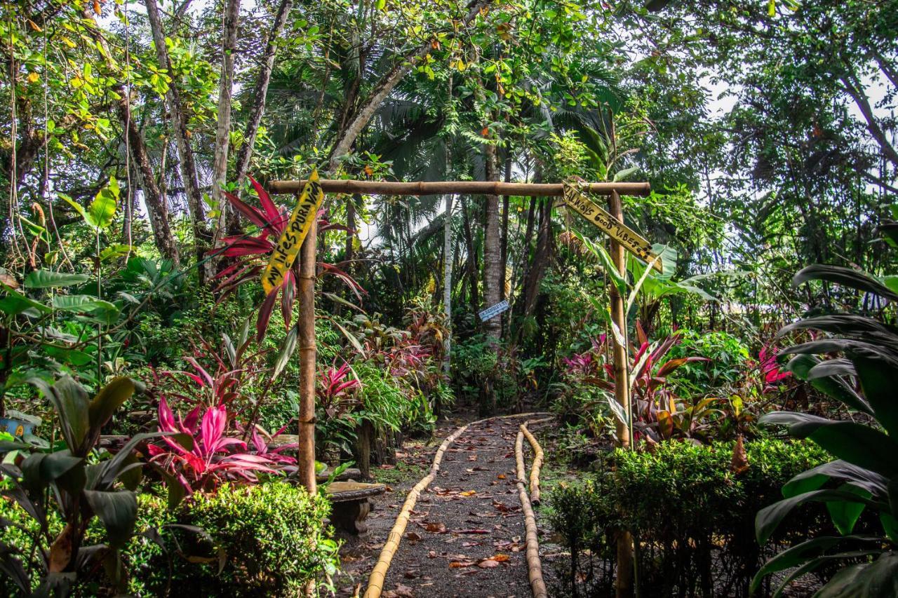 La Palapa Hut Nature *