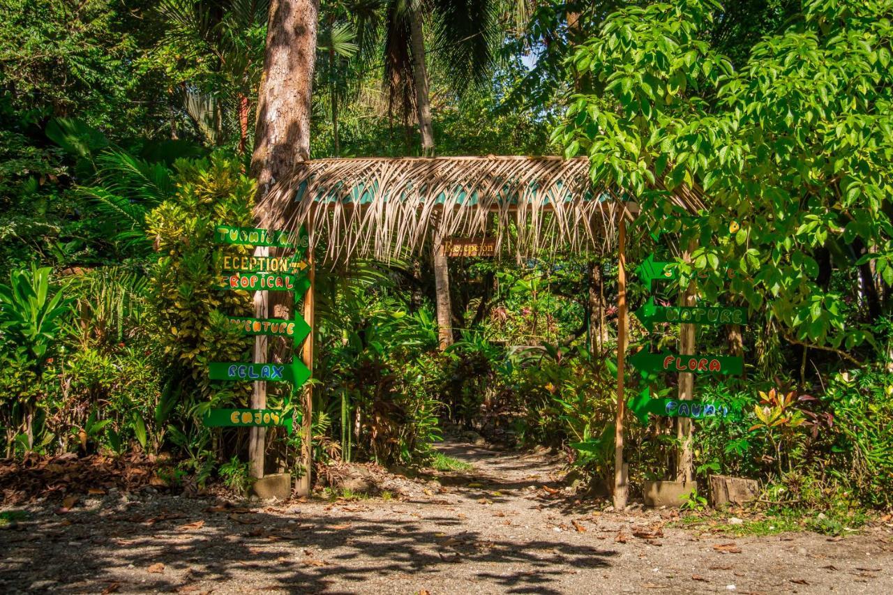 Hostel La Palapa Hut Nature Puerto Jimenez
