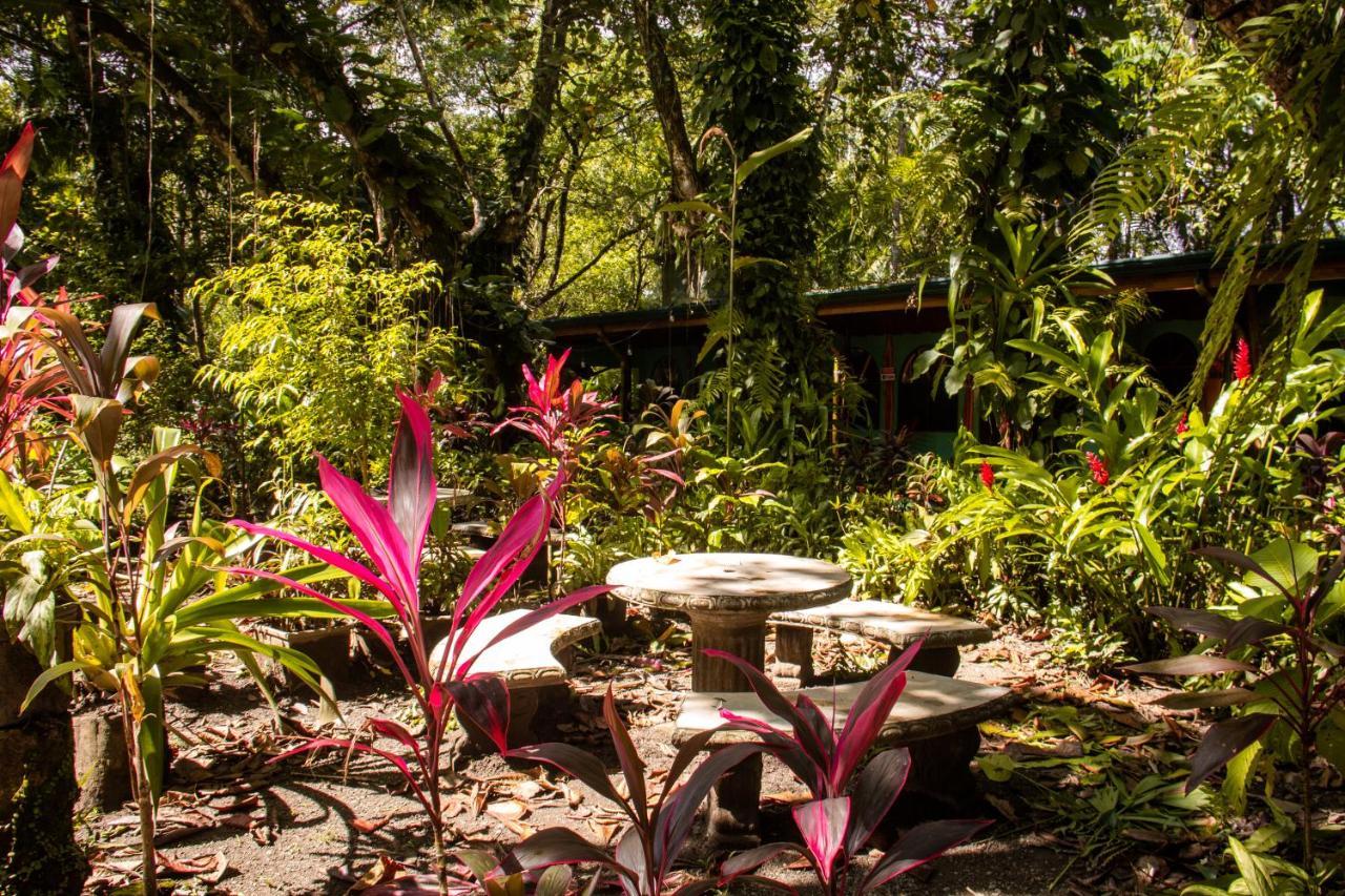La Palapa Hut Nature Puerto Jimenez