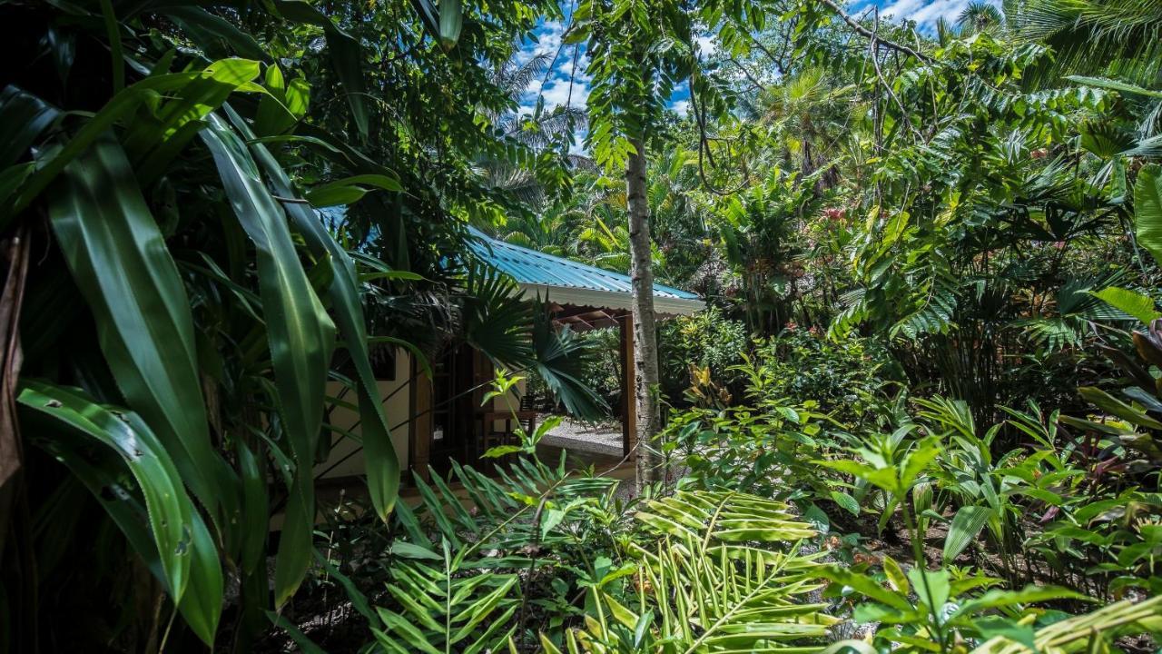 El Pequeno Gecko Hotel
