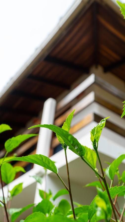 Luna Llena Bed & Breakfast