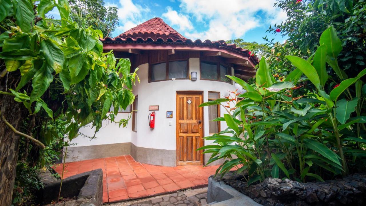 Luna Llena Bed & Breakfast