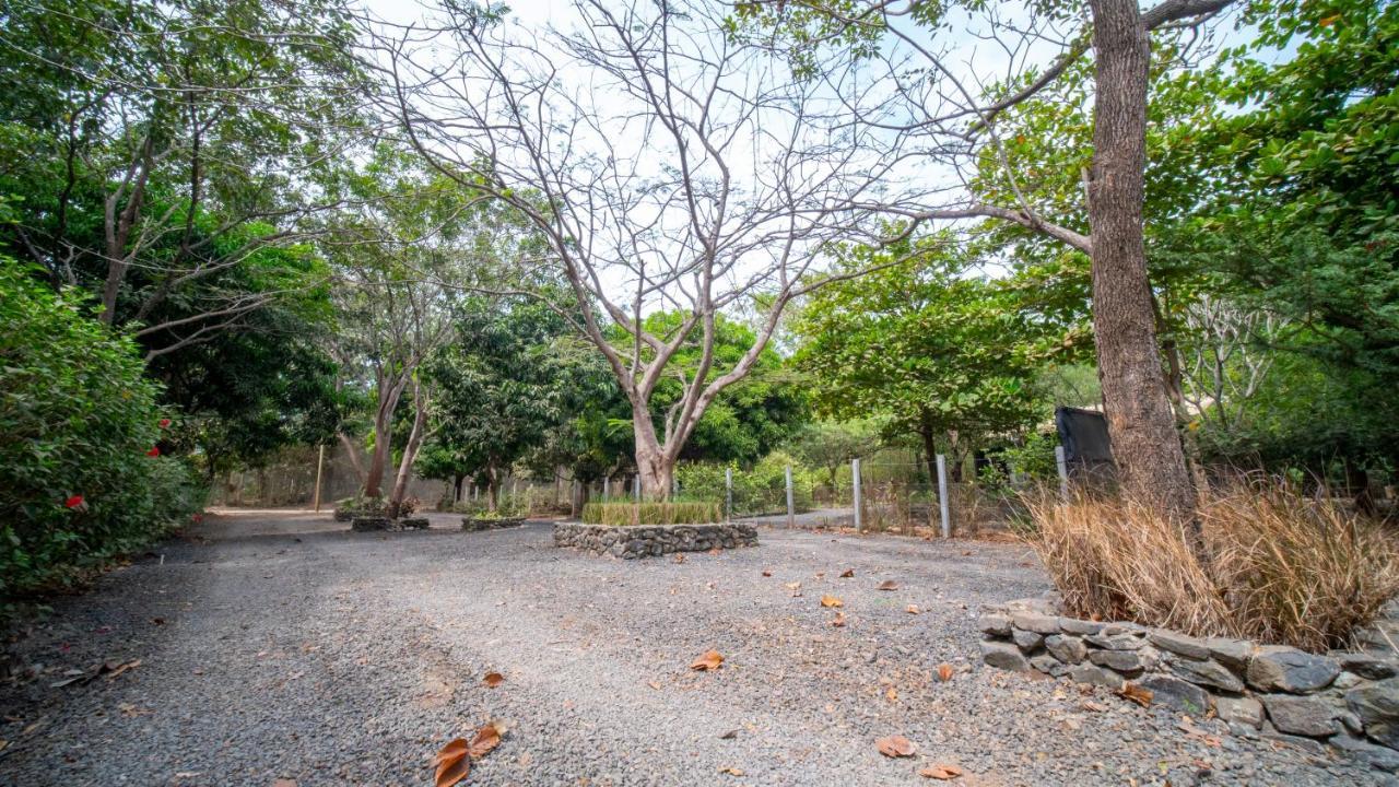 Las Avellanas Villas Tamarindo