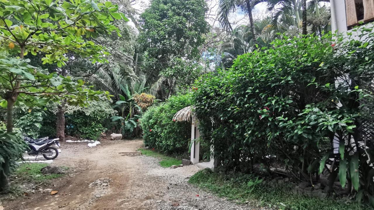 Colibri - 4 Min Walk To The Beach! *