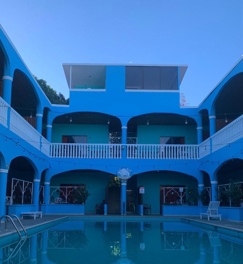 Toro Blanco Coco