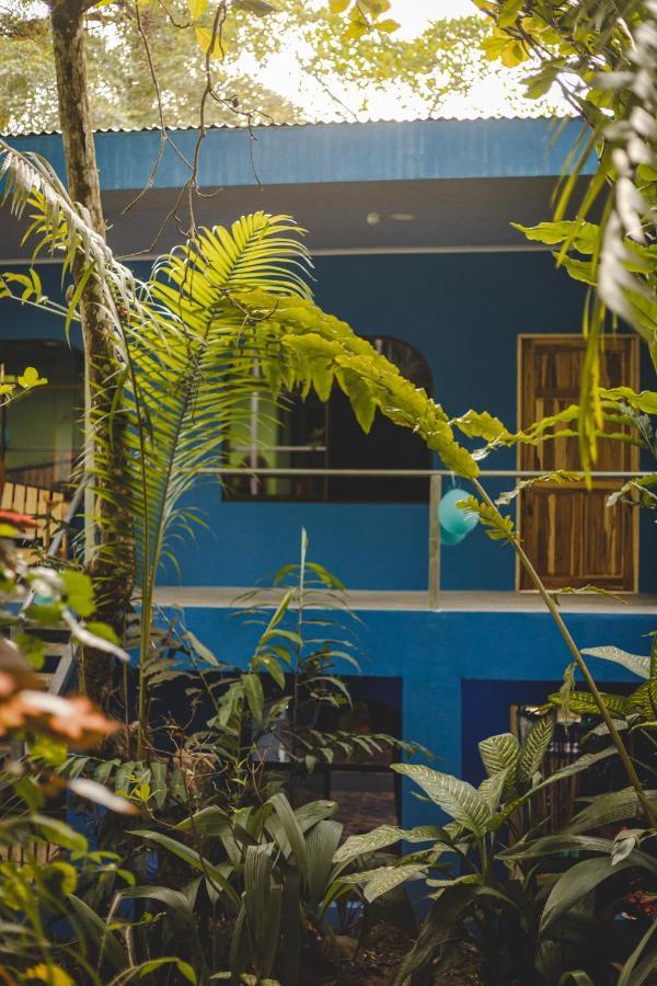 Peace Of Paradise Free Park Tour & Free Breakfast 2* Manuel Antonio