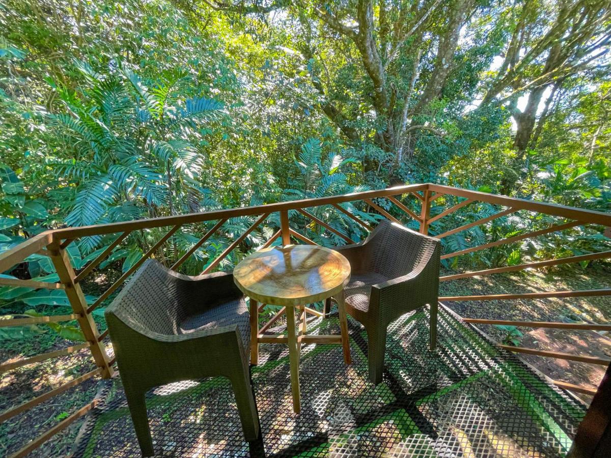 La Casa De La Montana Bed & Breakfast