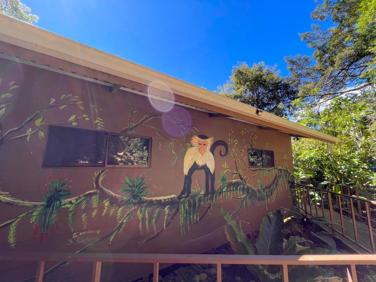 La Casa De La Montana