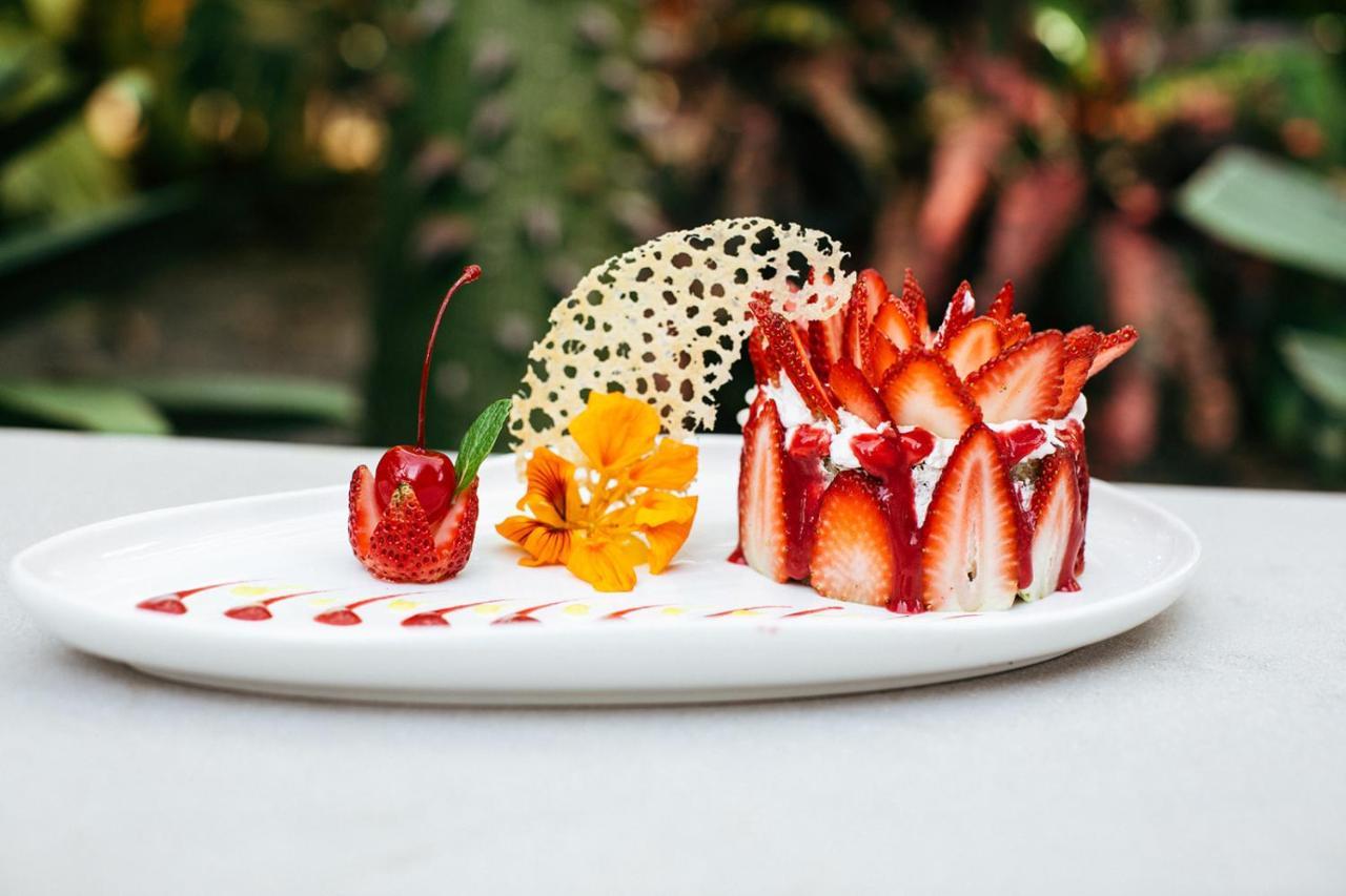 Mother Earth Luxury Boutique Hotel, Restaurant & (adults Only) * Tamarindo