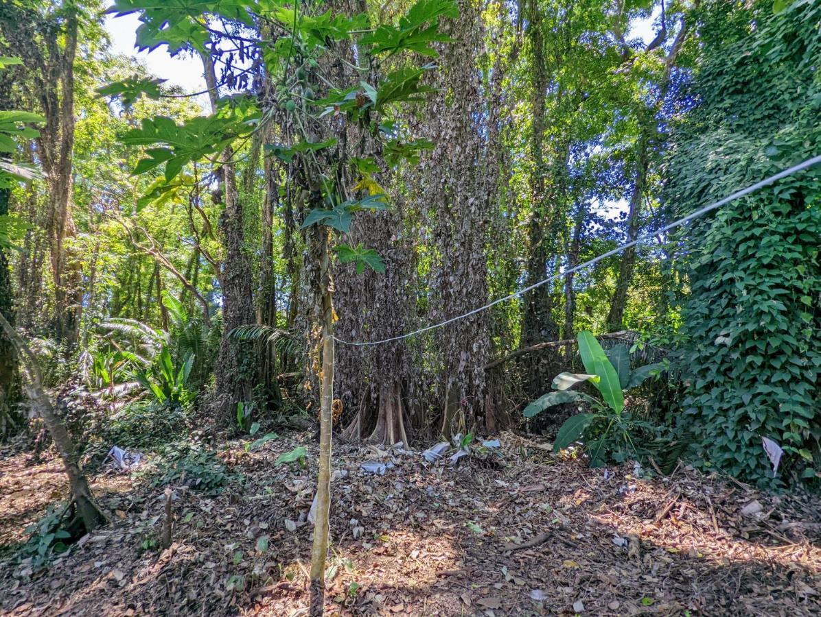 Arboura Eco Lodge Uvita