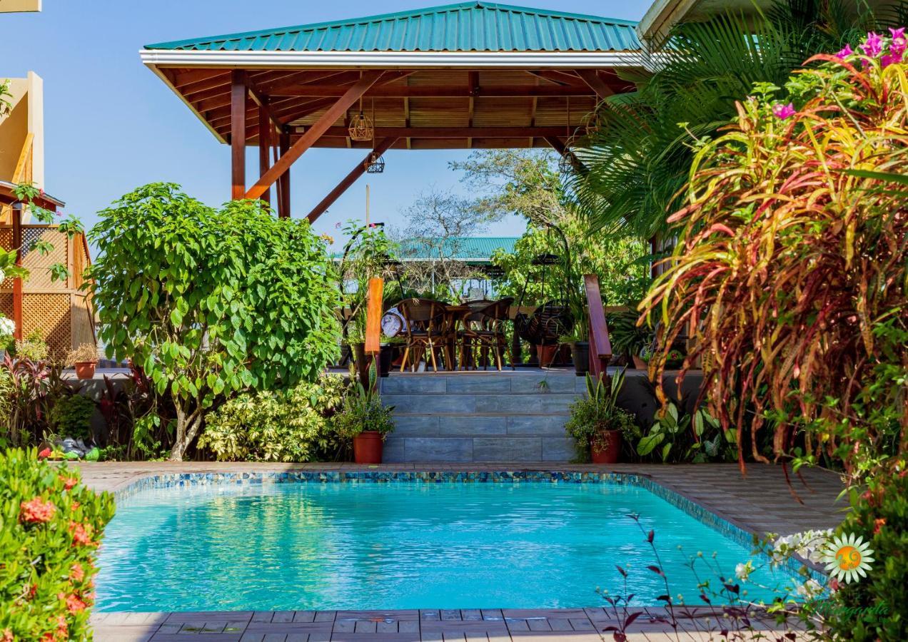 Margarita And Tour Operator Hotel
