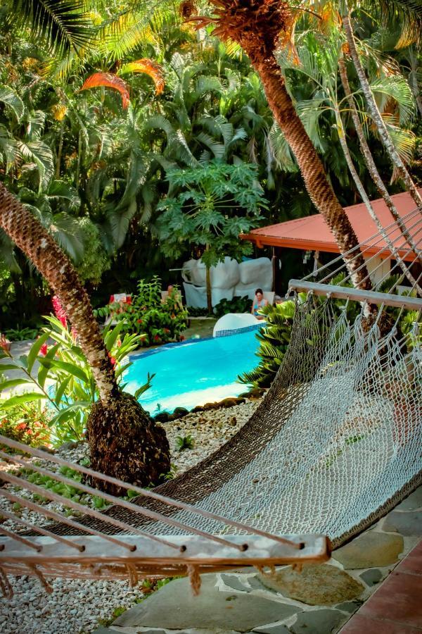 El Jardin 2* Montezuma
