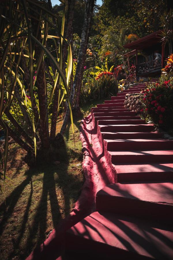 Hotel El Jardin Montezuma