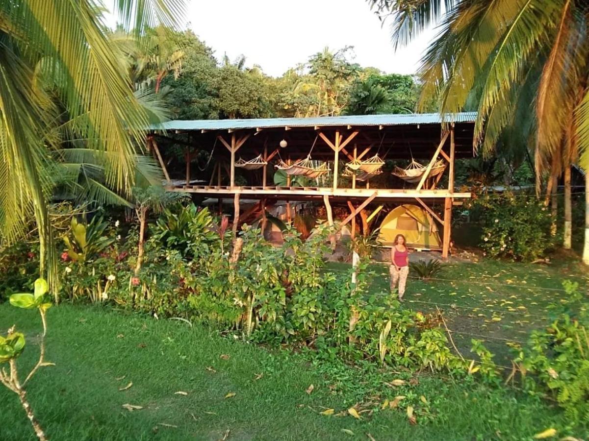 Life For Life Hostel: Sea Turtle Conservation At Hostel