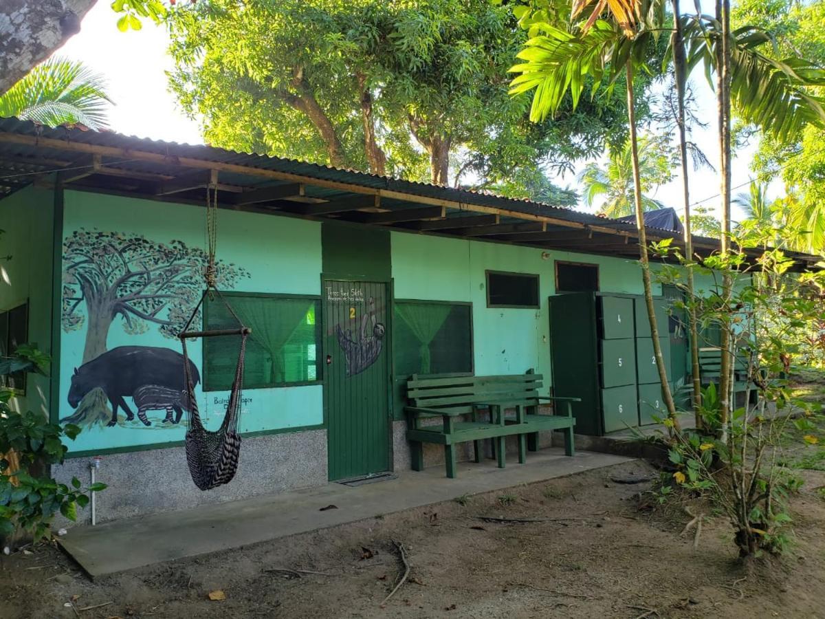Life For Life Hostel: Sea Turtle Conservation At Hostel Drake Bay