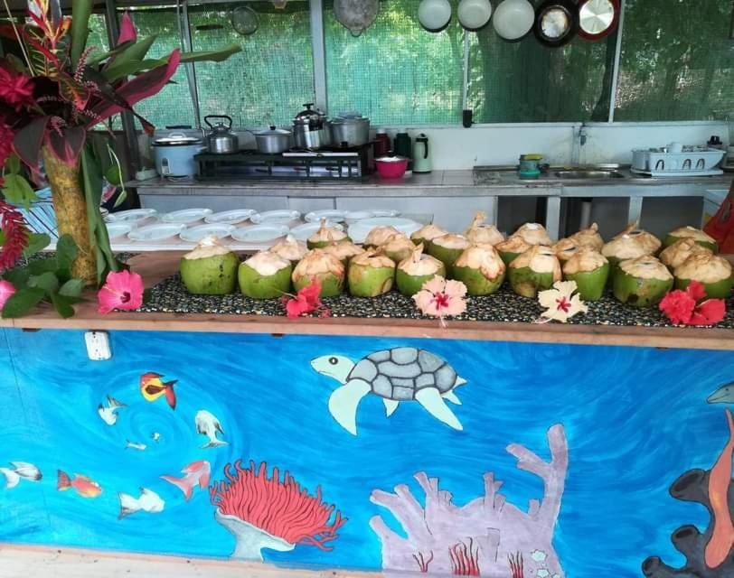 Life For Life Hostel: Sea Turtle Conservation At Drake Bay