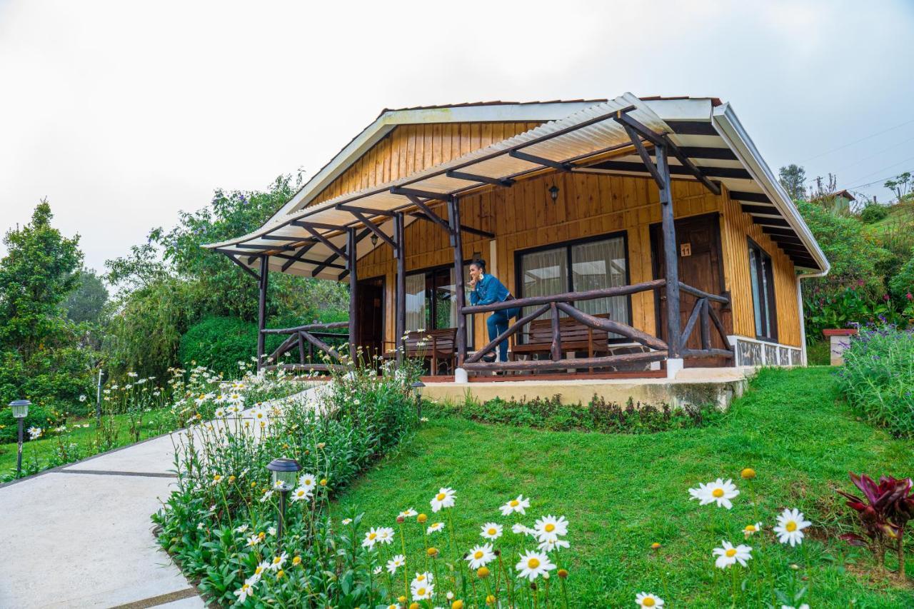 Lodge De Montana Suria
