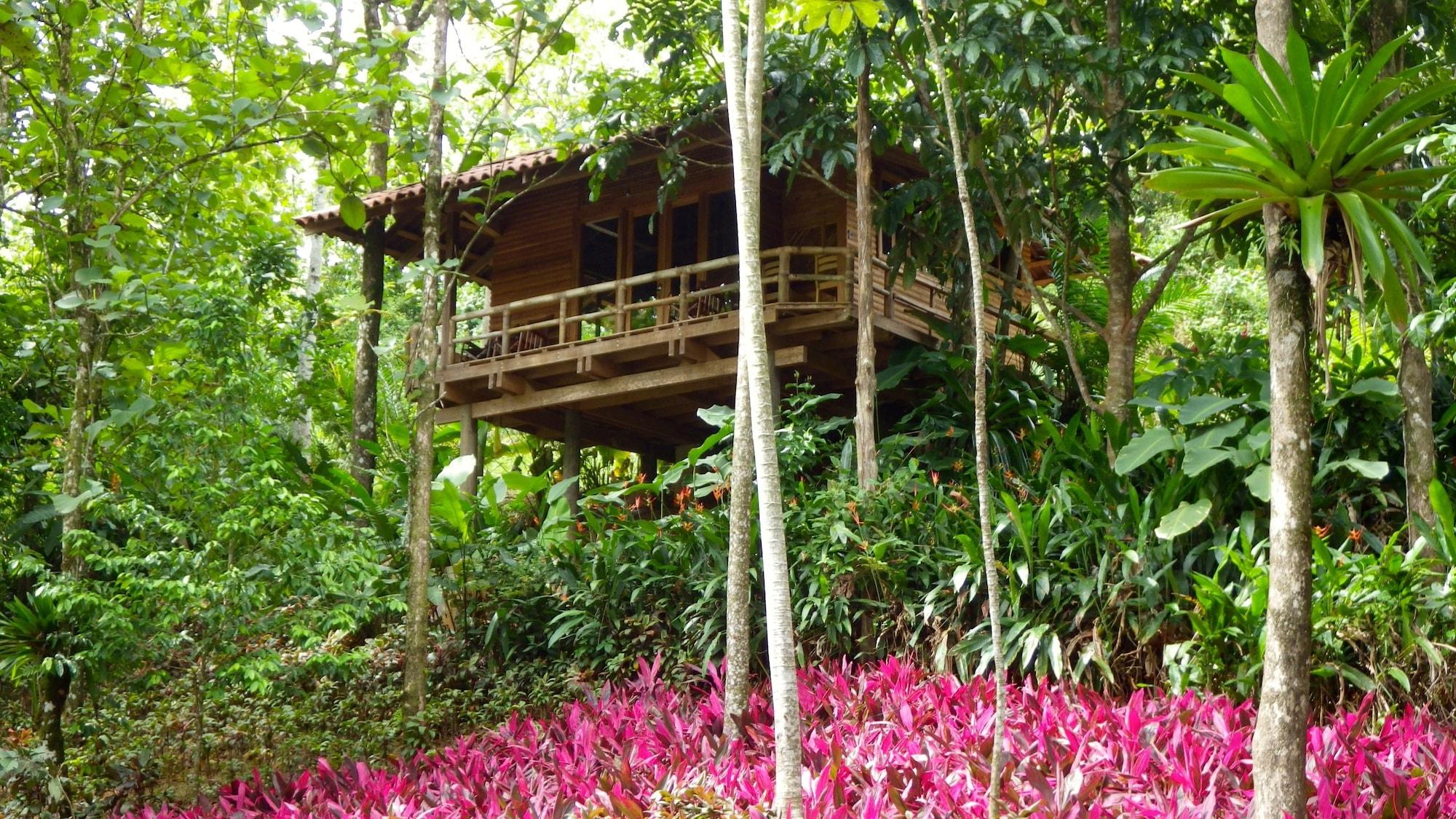 Macaw Lodge Carara