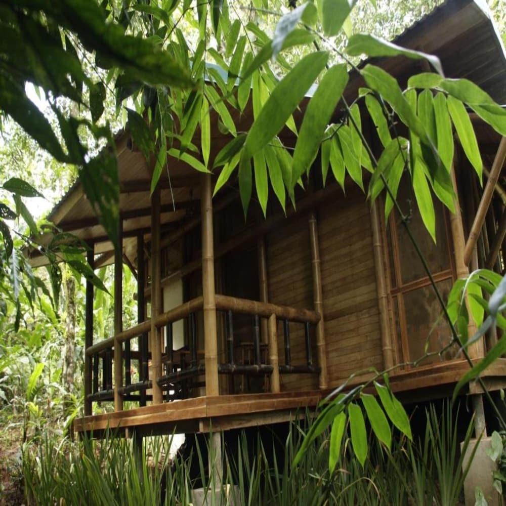 Lodge Macaw *