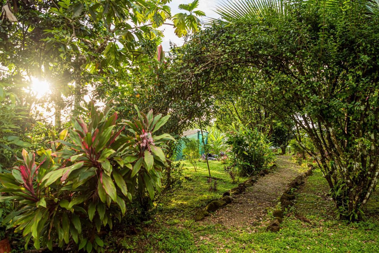 Selva Armonia Immersive Jungle 4*