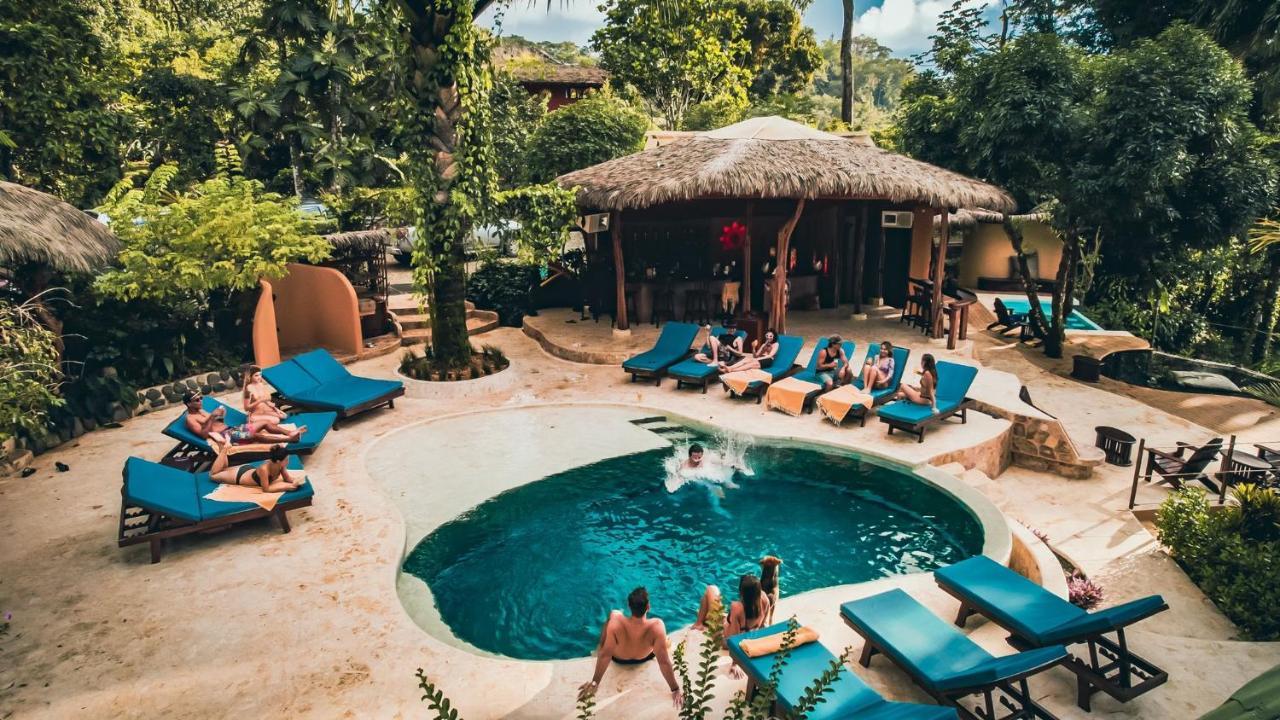 Selva Armonia Immersive Jungle Hotel