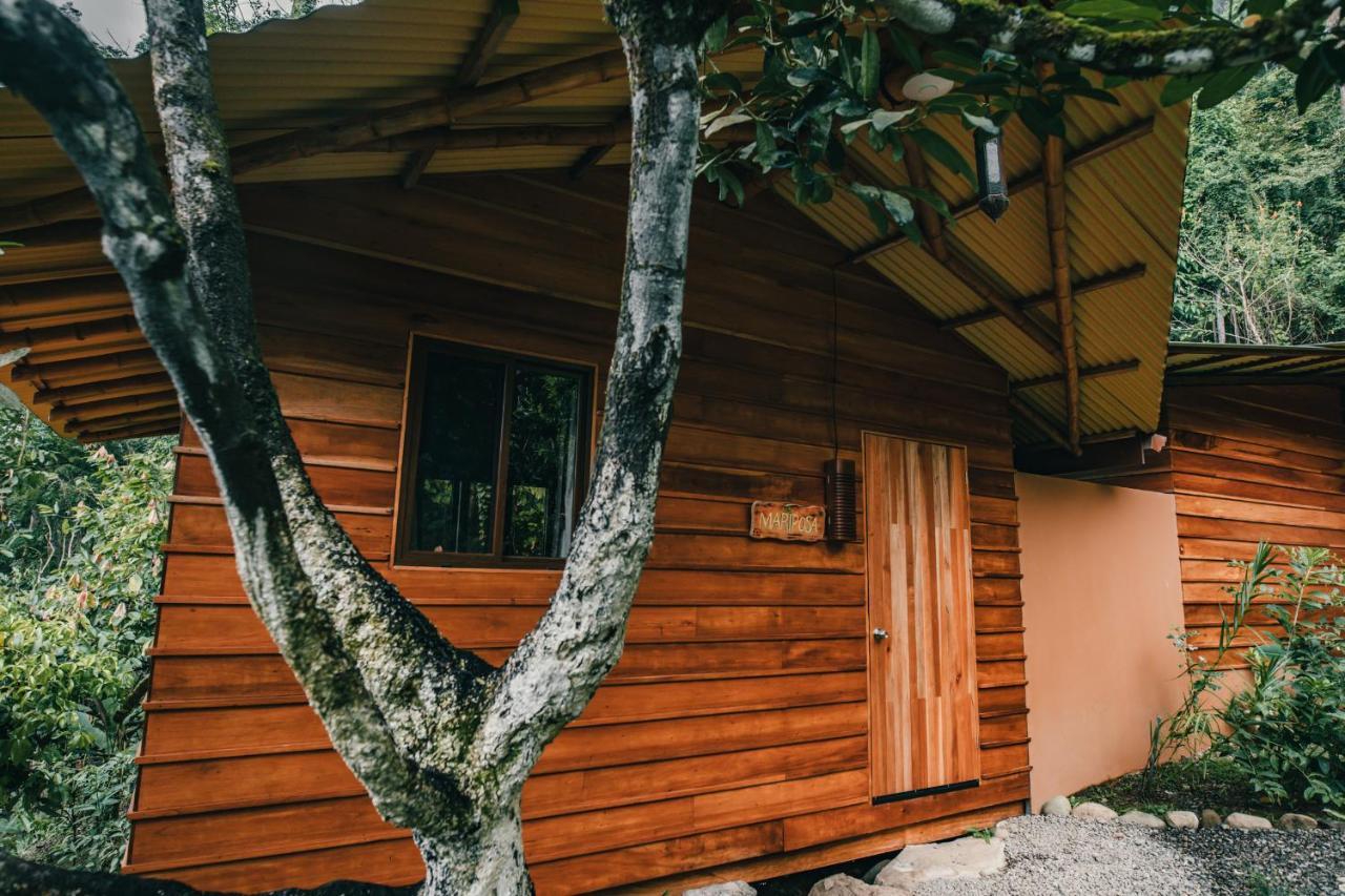 Selva Armonia Immersive Jungle Hotel
