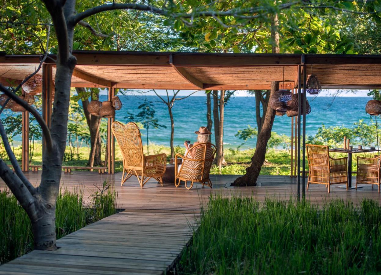 Kasiiya Papagayo