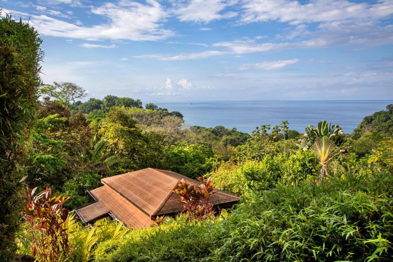 Hotel Tiki Rainforest - Adults Only *