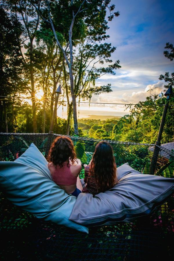 Hotel Selva Armonia Immersive Jungle