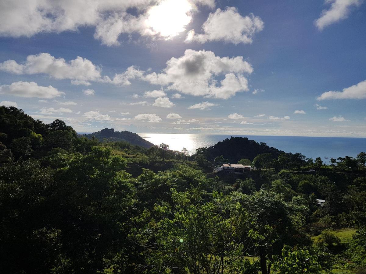Pura Natura Lodge *