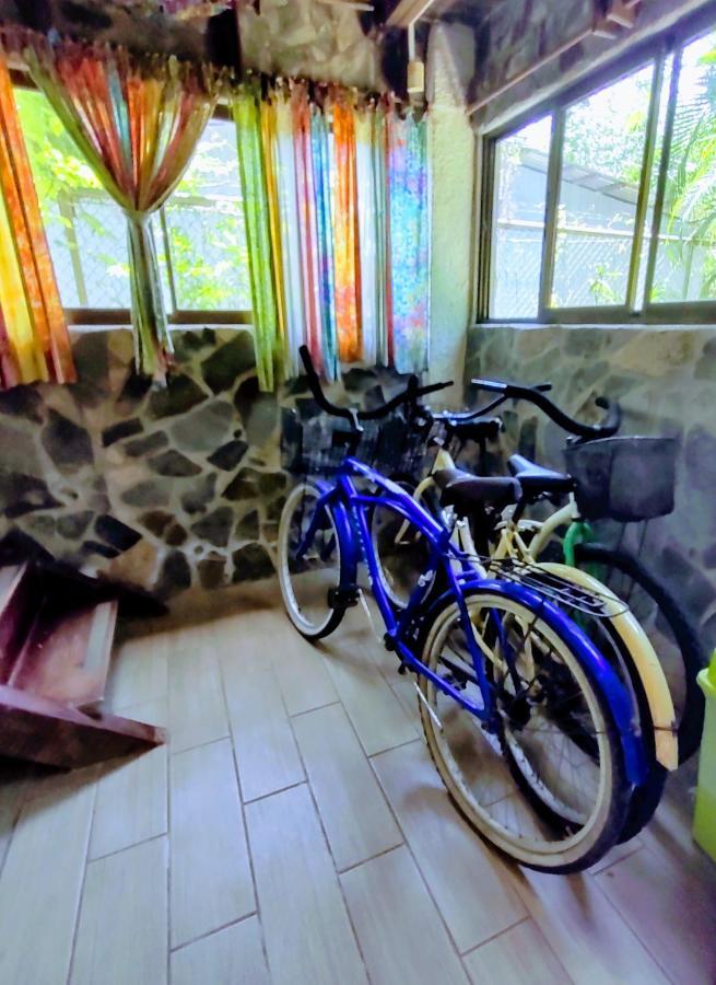 Casajungla Hostel