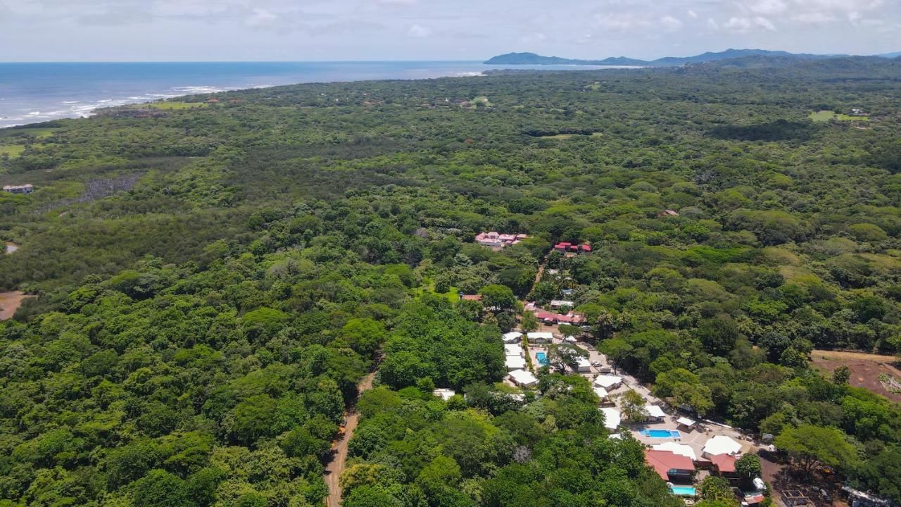 Las Avellanas Villas Villa *
