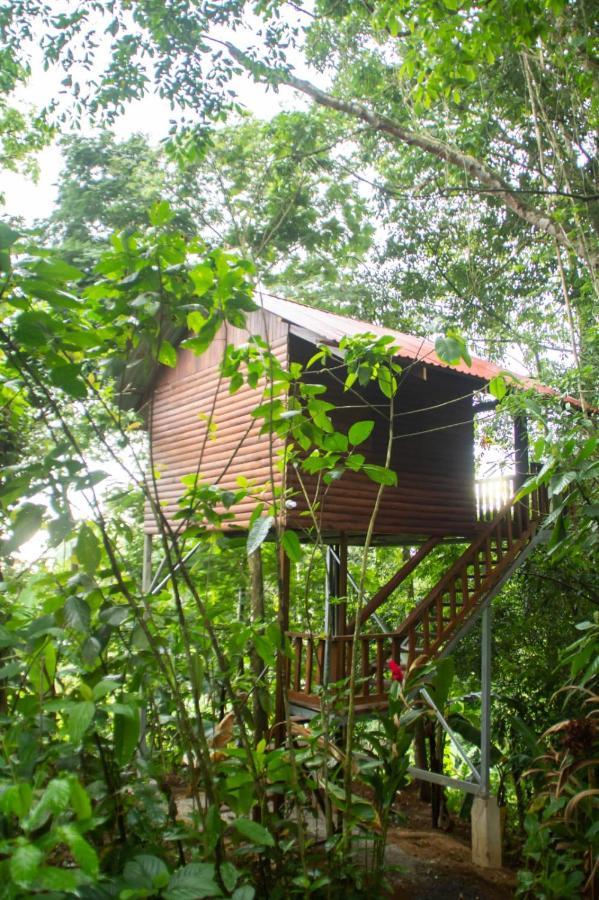 Arenal Rustic Lodge