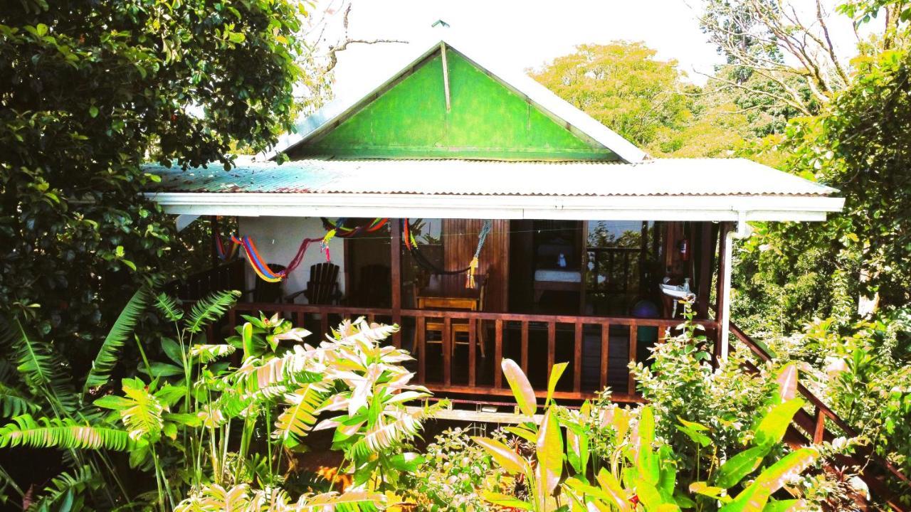 Lodge Cabana Ara Macao Drake Bay
