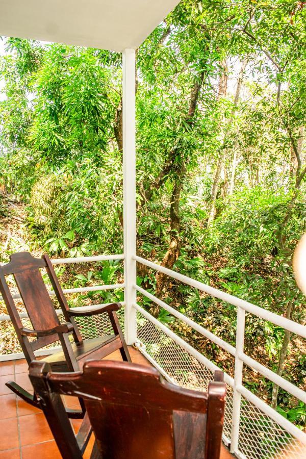 Casa Valentina - Ocean, Nature, Relax, Central Holiday home *