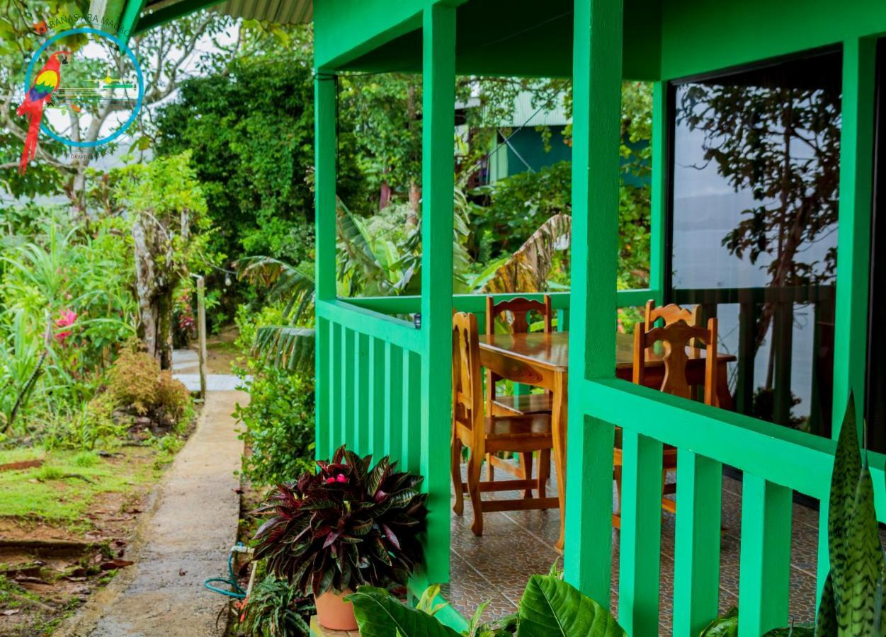 Cabana Ara Macao