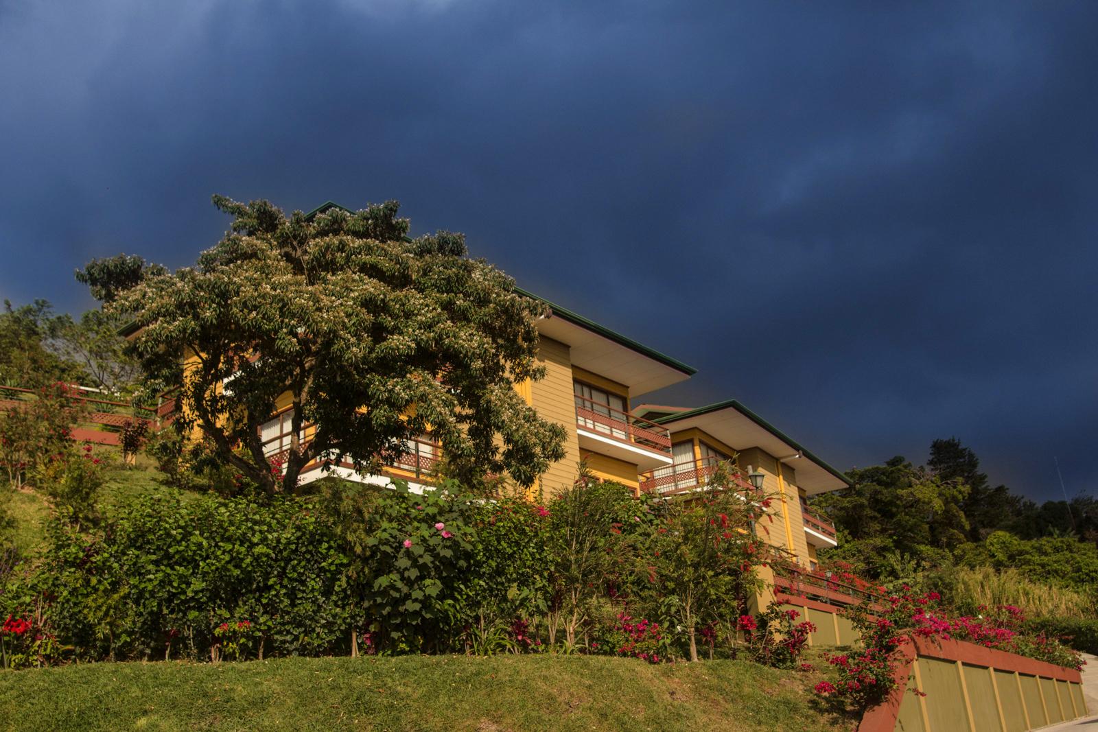 Hotel Ficus Sunset 4*