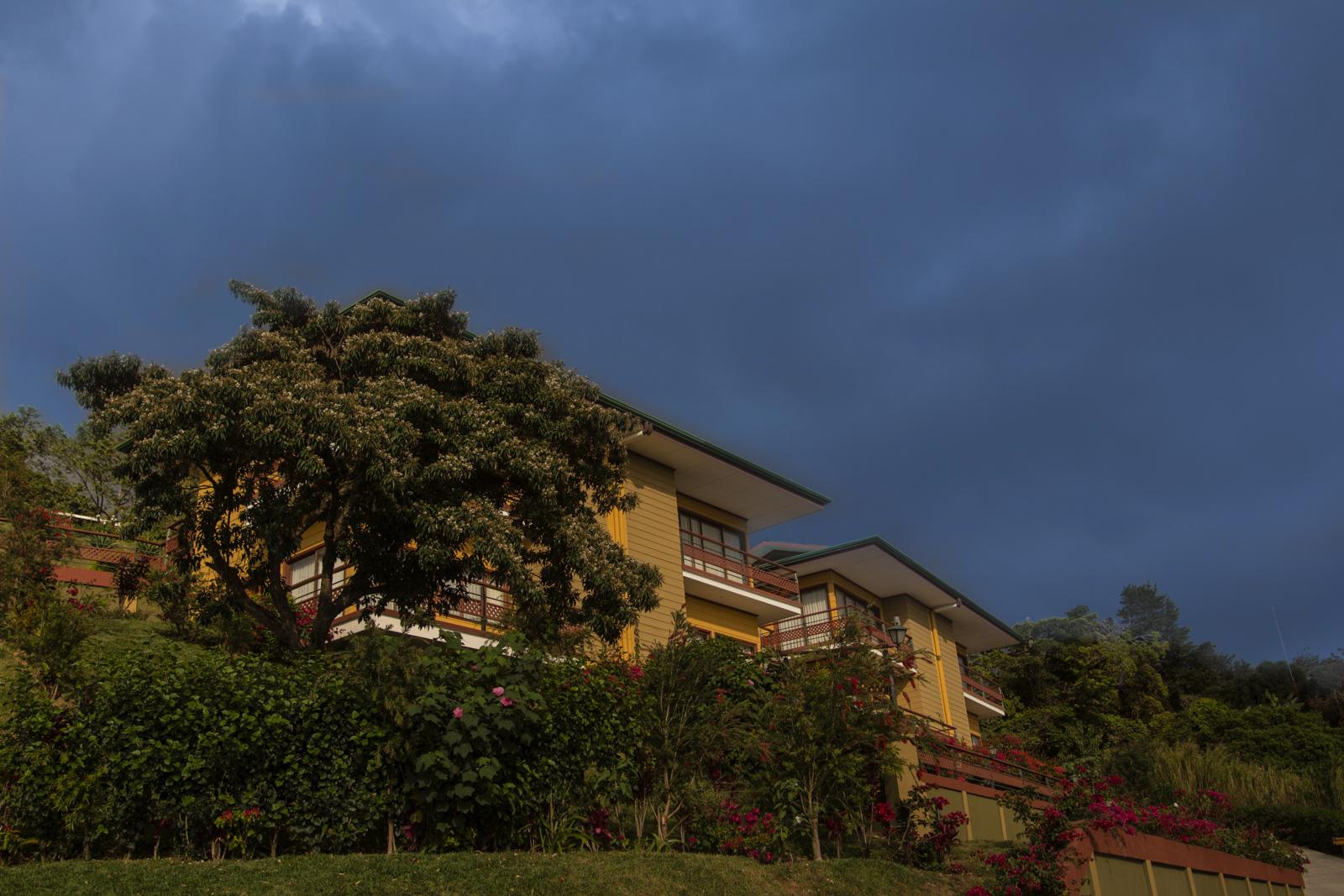 Hotel Ficus Sunset 4*