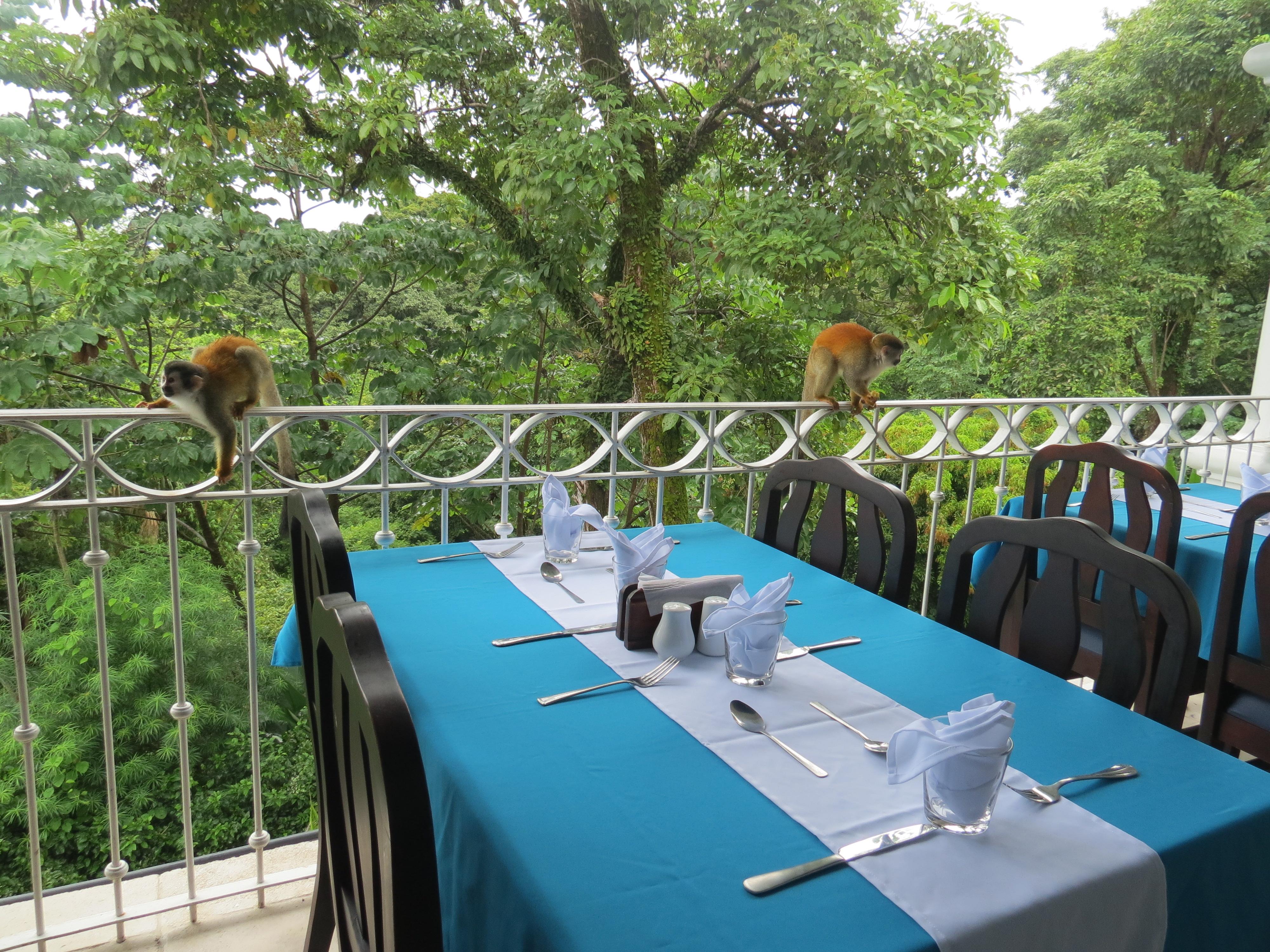 Shana By The 4* Manuel Antonio