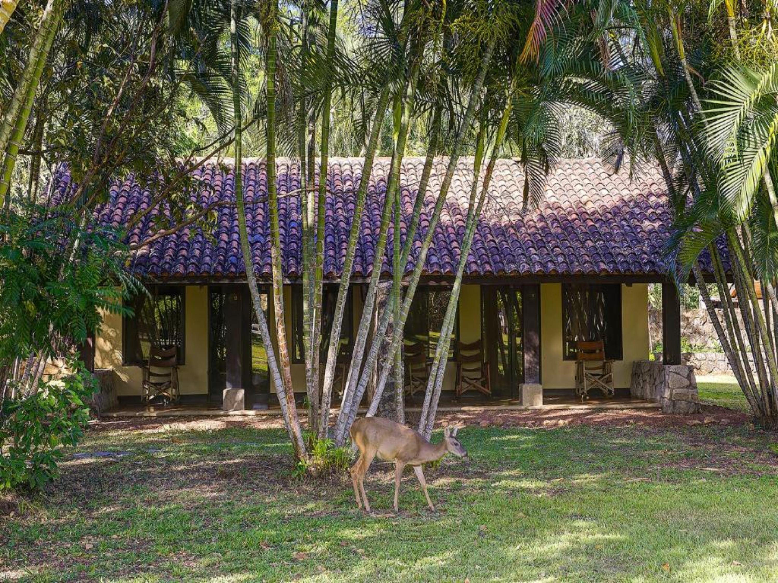 Hacienda La Pacifica Eco-lodge Hotel Canas